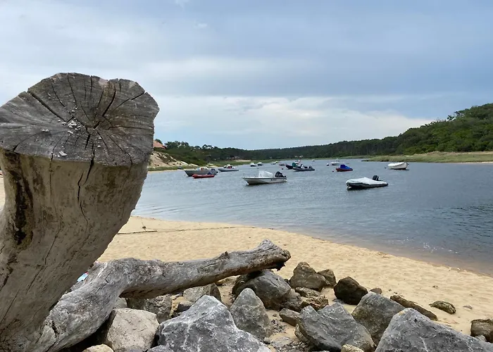 Chez Isa Kamp alanı